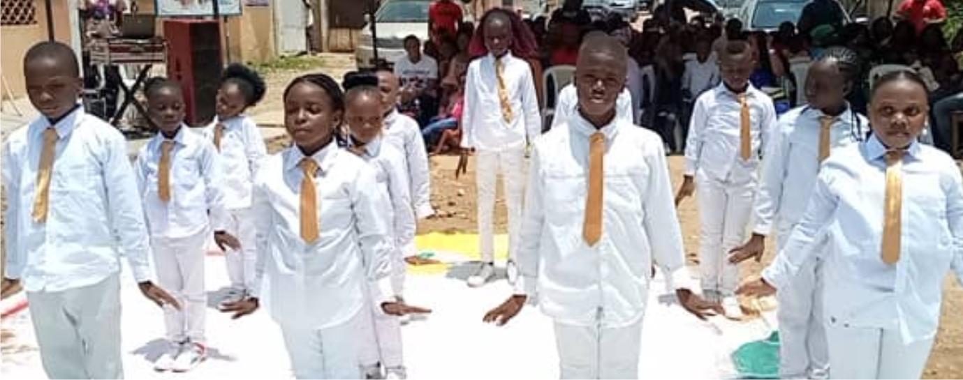 Tiger transfer portal